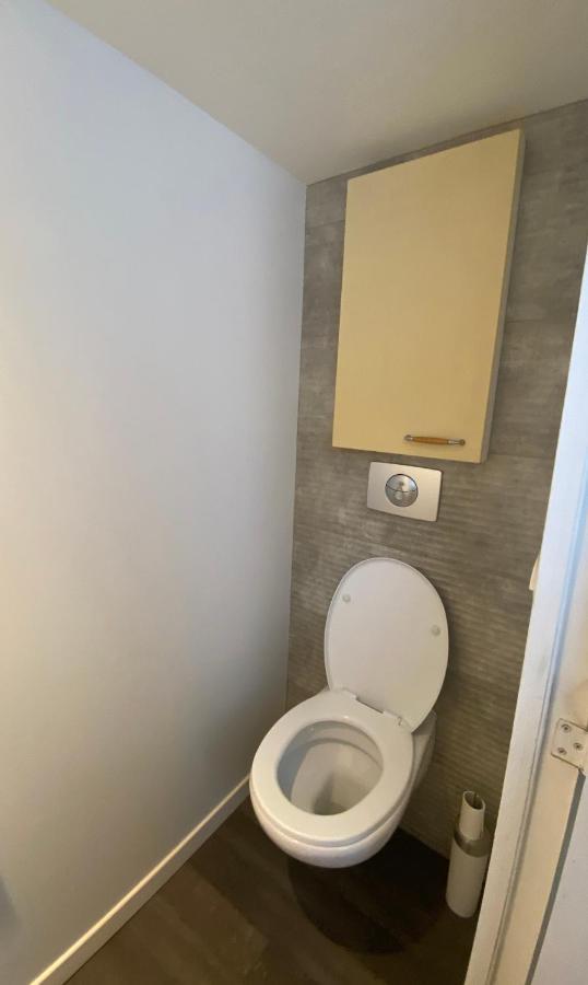 T3 En Duplex Pour 6 Pers Bien Place Terrasse Et Parking Inclus Apartment Toulouse Exterior photo